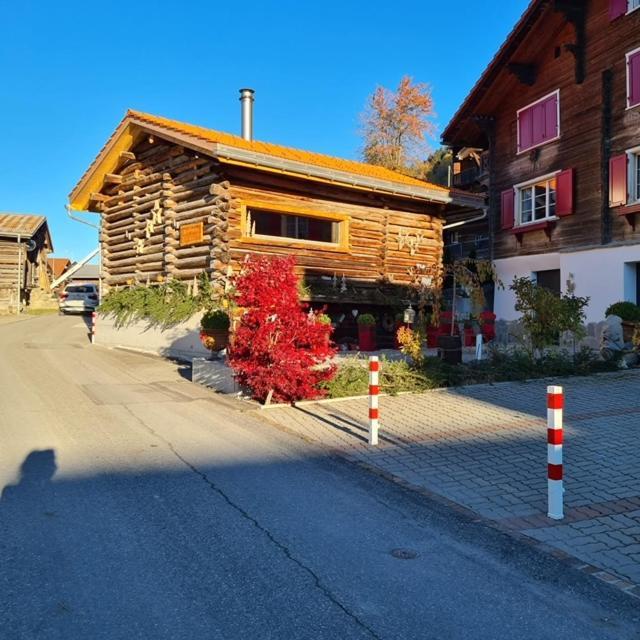 Chesa Prema Bed & Breakfast - Restaurant Disentis Exteriér fotografie