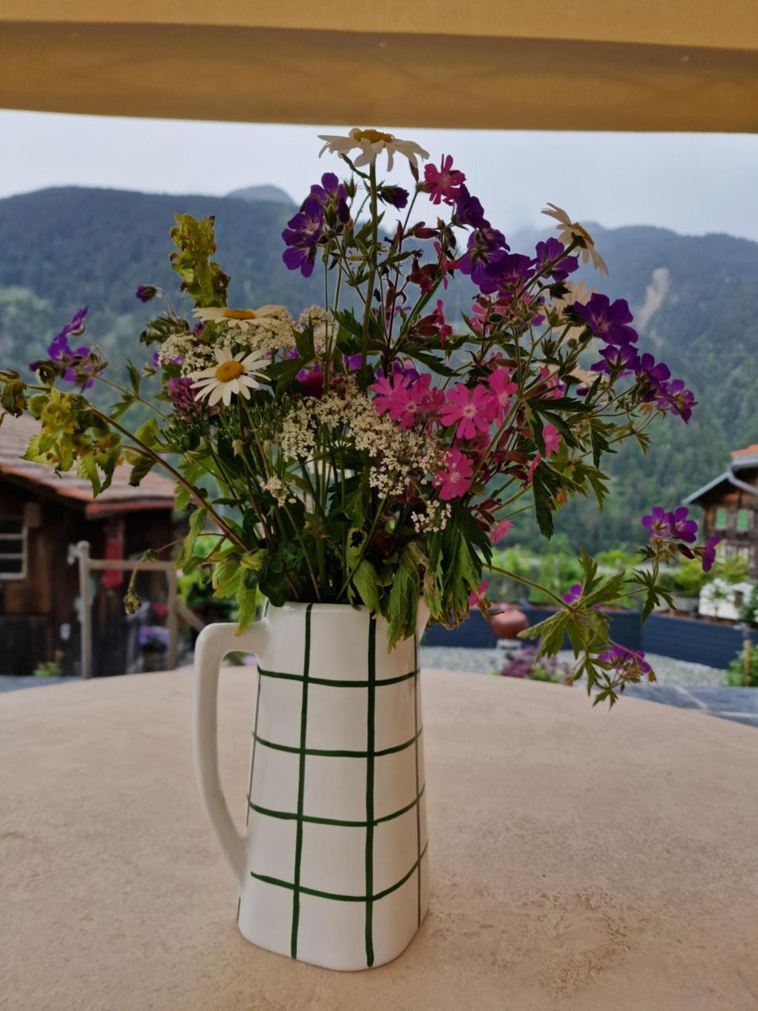 Chesa Prema Bed & Breakfast - Restaurant Disentis Exteriér fotografie